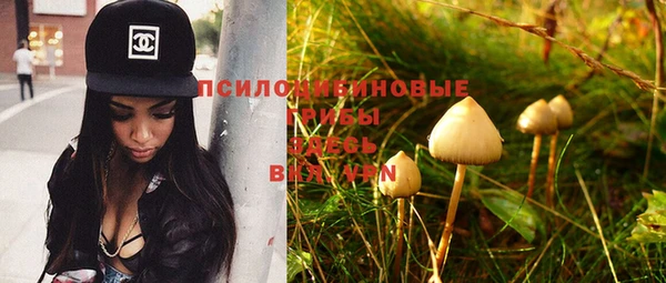 ПСИЛОЦИБИНОВЫЕ ГРИБЫ Балахна