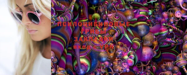 ПСИЛОЦИБИНОВЫЕ ГРИБЫ Балахна