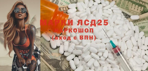 индика Баксан