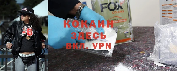 индика Баксан